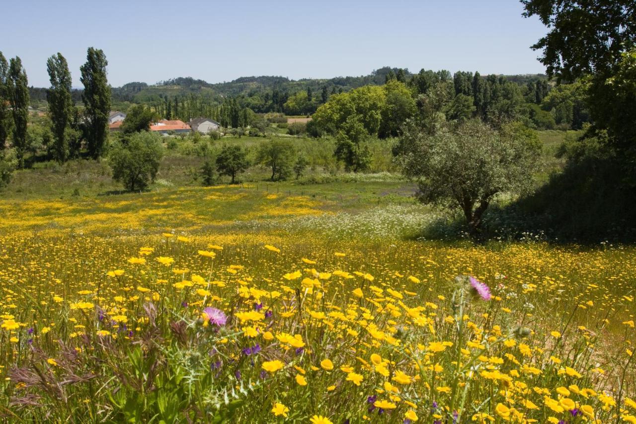 فيلا Quinta Da Alcaidaria Mor Ourém المظهر الخارجي الصورة